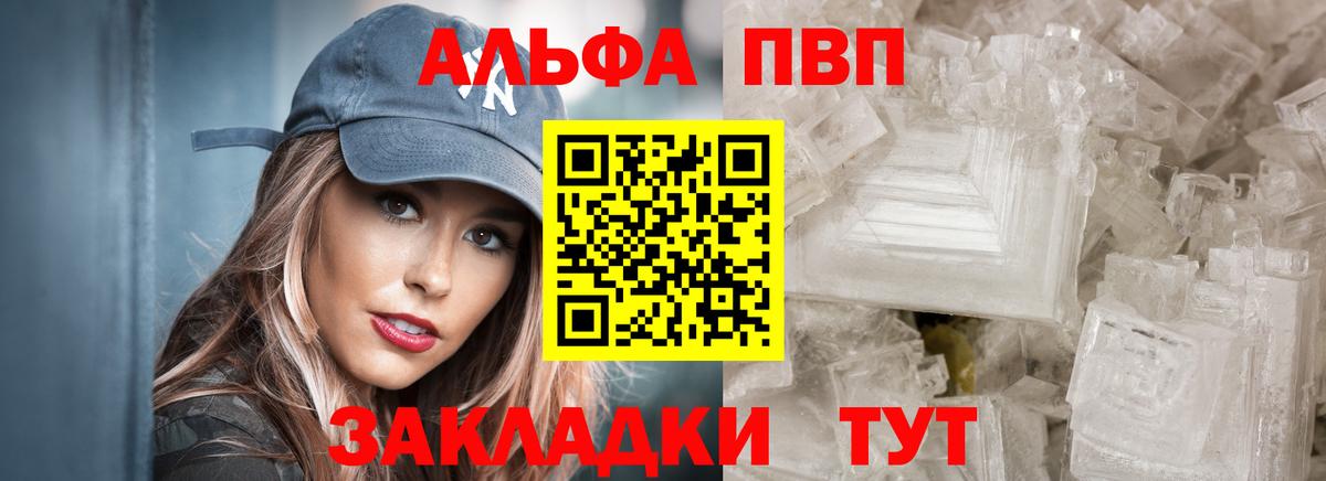 APVP СК Вологда