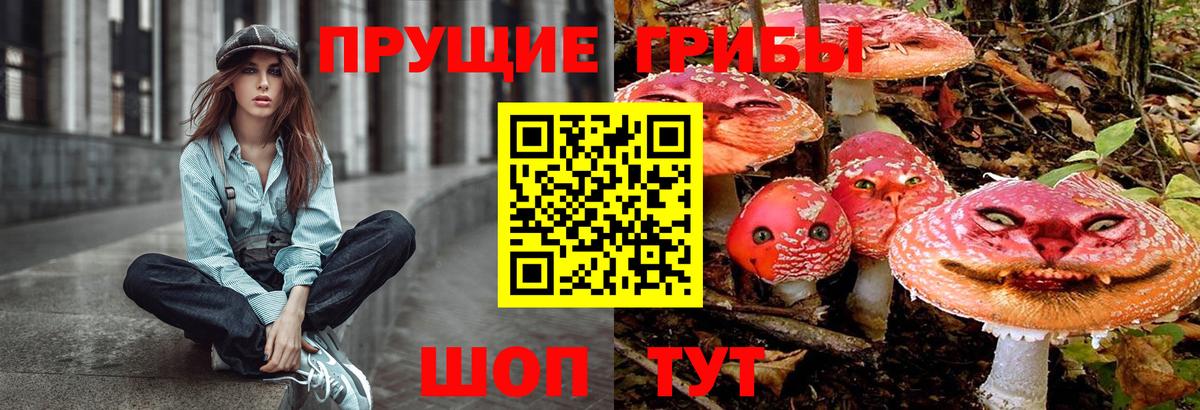 хочу наркоту  Вход с VPN  Вологда  Псилоцибиновые грибы Psilocybe 